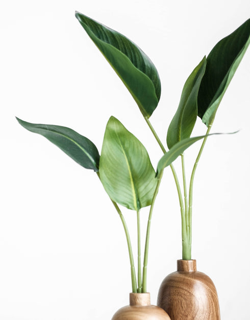 Large Bird of Paradise